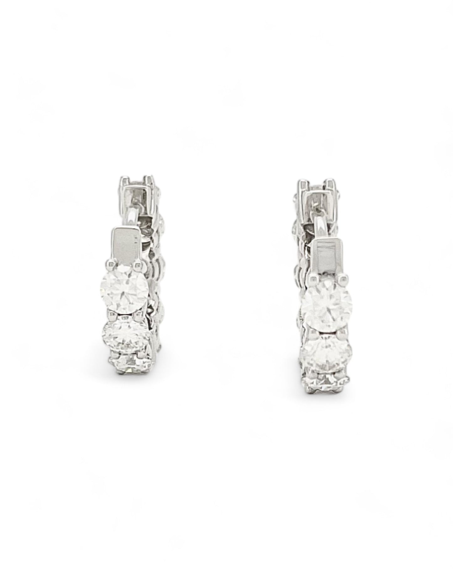 Moonlight Loop Round Moissanite Earrings